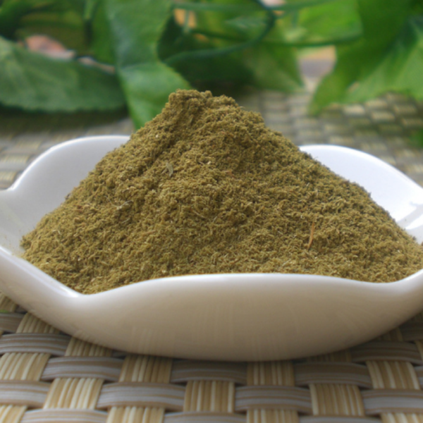 Schizonepeta herb powder